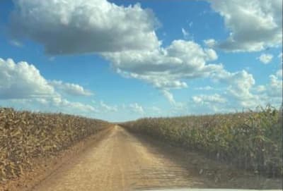 Foto 3 de 8: Area Rural em leilão em Vilhena - RO — IMÓVEL RURAL | A.T. 74,0462 HA | VILHENA/RO - LEILÃO EMPRESARIAL SISTÊMICO SICREDI