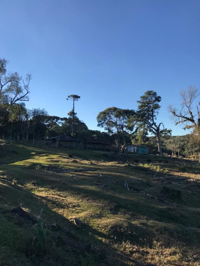 Foto 4 de 4: Area Rural em leilão em Pinhão - PR — Área rural medindo 13.008.075m² - Pinhão/PR