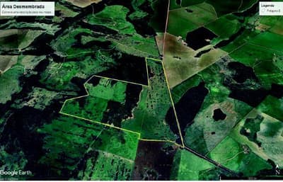 Area Rural em leilão em Pedro Gomes - MS — FAZENDA DE 181,46 Ha | PEDRO GOMES -MS