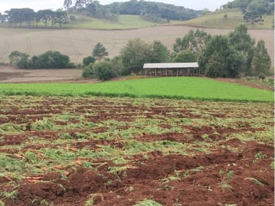 Foto 1 de 7: Terreno em leilão em Frei Rogério - SC — IMÓVEL RURAL COM ÁREA TOTAL DE 5,3285450 HA - FREI ROGERIO/SC