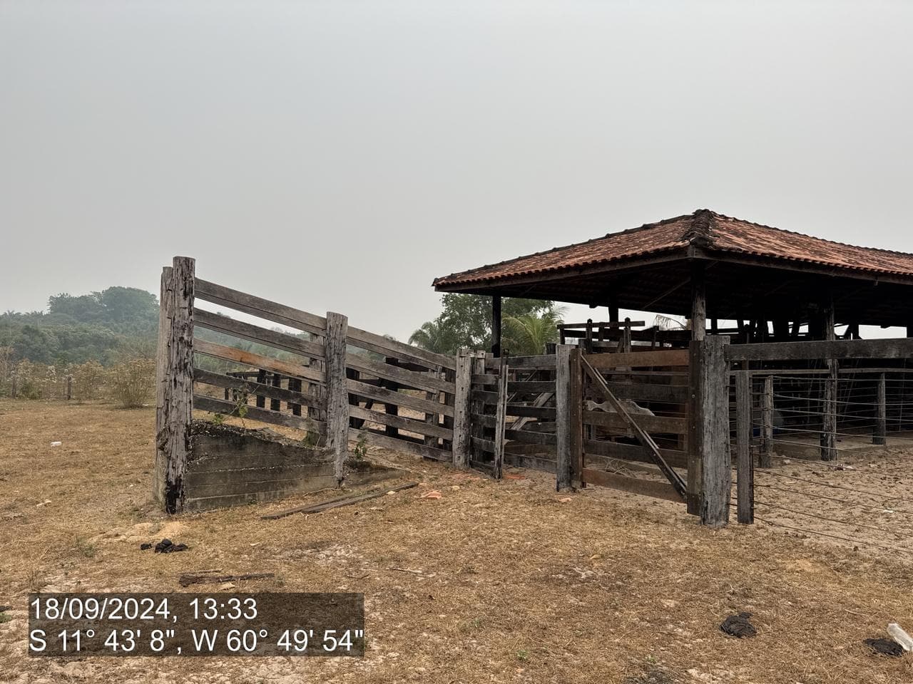 Foto 10 de 20: Area Rural em leilão em Pimenta Bueno - RO — IMÓVEL RURAL | A. T. 63,4635 HA | PIMENTA BUENO/RO - LEILÃO EMPRESARIAL SISTÊMICO SICREDI