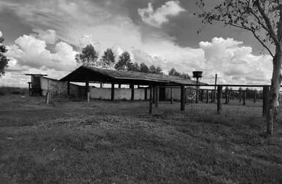 Foto 18 de 21: Terreno em leilão em Pimenta Bueno - RO — Fração ideal de 1,1% lotes de terras rural n. 82 e 92 com área total de 3.676,0340ha, Pimenta Bueno/RO