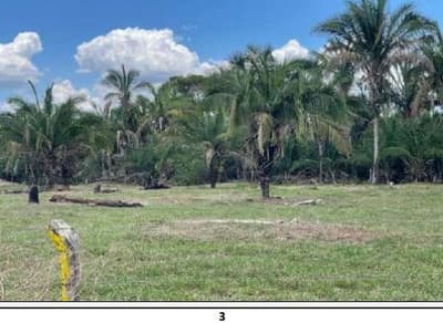 Foto 2 de 16: Area Rural em leilão em Barão De Melgaço - MT — Imóvel rural denominado Fazenda Baia São Benedito (antiga Baia das Pombas- com área de 13.000,00 hectares.