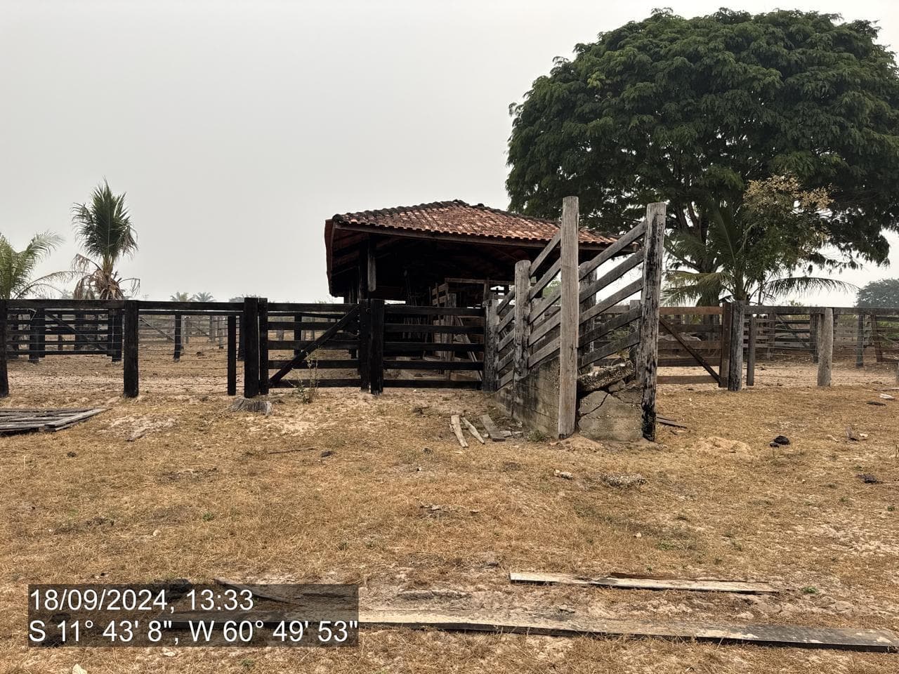 Foto 5 de 20: Area Rural em leilão em Pimenta Bueno - RO — IMÓVEL RURAL | A. T. 63,4635 HA | PIMENTA BUENO/RO - LEILÃO EMPRESARIAL SISTÊMICO SICREDI
