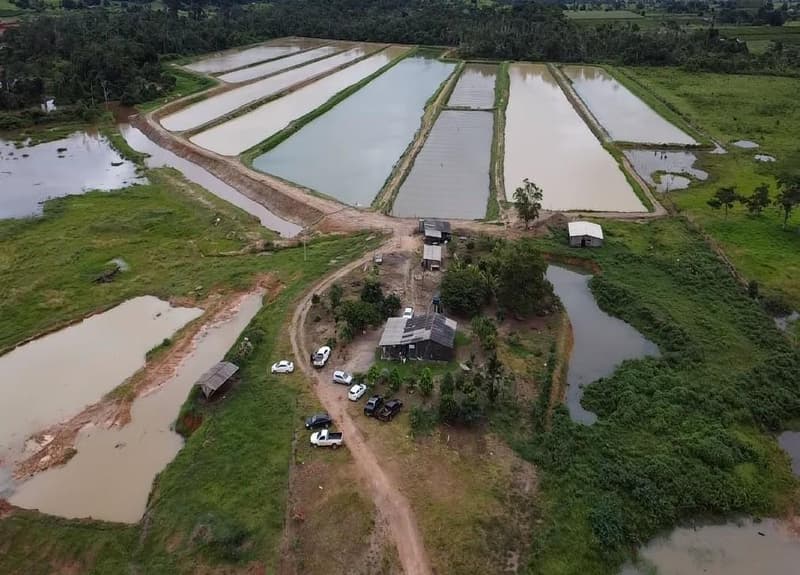 Foto 1 de 3: Area Rural em leilão em Alta Floresta D'oeste - RO — IMÓVEL RURAL | 37,5100HA - EXPLORAÇÃO PISCICULTURA | GLEBA CORUMBIARA, SETOR PARECIS I, ALTA FLORESTA D OESTE/RO