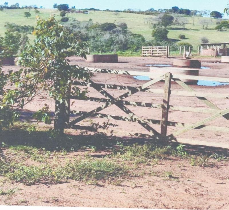 Foto 1 de 6: Terreno em leilão em Pérola - PR — IMÓVEIS RURAIS EM PEROLA/PR ( TRÊS MATRICULAS CONJUNTAS)