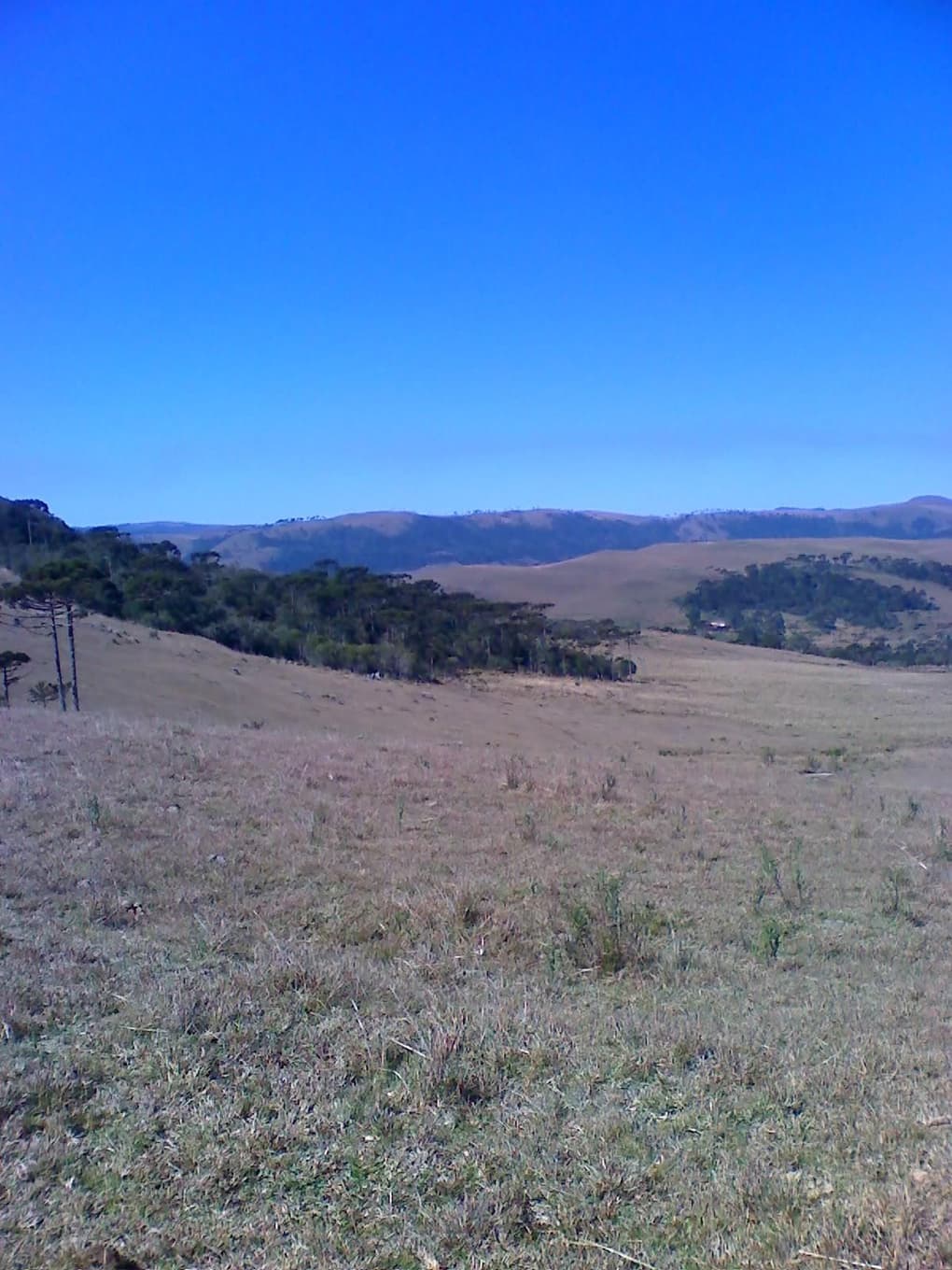 Foto 6 de 9: Area Rural em leilão em São José Dos Ausentes - RS — GLEBA DE TERRAS DE 20 ha LOCALIZADO EM SÃO JOSÉ DOS AUSENTES /RS - SEM BENFEITORIAS - MATRICULA 9.797
