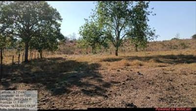 Foto 3 de 7: Area Rural em leilão em Dois Irmãos Do Tocantins - TO — IMÓVEL RURAL | A.T.45,97 HA FAZ. GALILEIA PECUÁRIA | DOIS IRMÃOS DO TOCANTINS/TO
