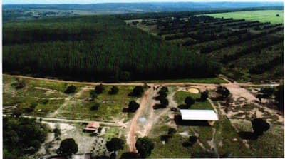 Foto 6 de 13: Area Rural em leilão em Coxim - MS, bairro Rio Verde de Mato Grosso — IMÓVEL RURAL | A.T. 62 HA - Fazenda Caracol | RIO VERDE DE MATO GROSSO/MS.