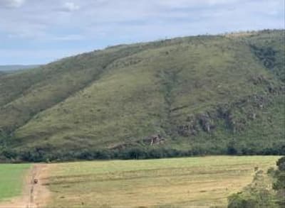 Foto 4 de 4: Area Rural em leilão em Alto Paraíso De Goiás - GO — IMÓVEL RURAL COM 24,07.77HA, FAZENDA SZERVINSK EM ALTO PARAÍSO-GO