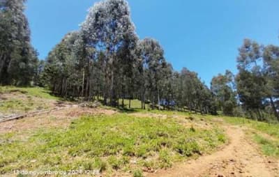 Foto 14 de 16: Area Rural em leilão em Pinhão - PR — Imóvel rural, 242.766,02 m², denominado Torres, Município e Comarca de Pinhão-PR