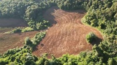 Foto 6 de 6: Area Rural em leilão em Nova Esperança Do Sudoeste - PR — IMÓVEL RURAL COM ÁREA TOTAL DE 60.500,00 m² (6,05 hectares) - NOVA ESPERANÇA DO SUDOESTE/PR
