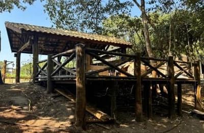 Foto 6 de 14: Area Rural em leilão em Rio Verde De Mato Grosso - MS — 02 IMÓVEIS RURAIS COM BENFEITORIAS, A.T. 8.000HA EM RIO VERDE DE MATO GROSSO-MS