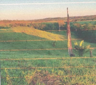 Foto 4 de 13: Area Rural em leilão em Alto Alegre Dos Parecis - RO — IMÓVEL RURAL | A.T 26,44 HA | ALTO ALEGRE DOS PARECIS, COMARCA DE SANTA LUZIA D'OESTE/RO