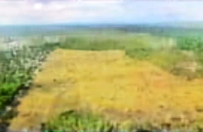 Area Rural em leilão em Santo Antônio De Leverger - MT — Imóvel Rural, A.T. 381,3610ha, Fazenda Lagoa Bonita