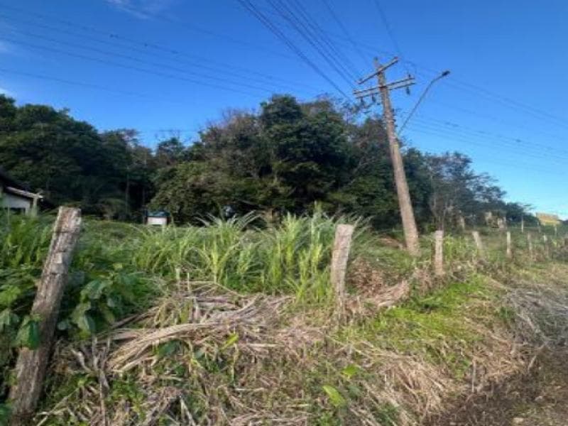 Foto 7 de 12: Area Rural em leilão em Igrejinha - RS, bairro Morro Mico — Chacara_Sitio, 3.3 ha, Igrejinha / RS