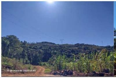 Foto 8 de 14: Area Rural em leilão em Pinhão - PR — Parte ideal de 484,72 hectares,, correspondente a 85,039% da Área rural Medindo 5.700.000,00m2, Localizada no quinhão 1-J, no imóvel Pinhão-Faxinal dos Ribeiros, situado no município e comarca de Pinhão/PR