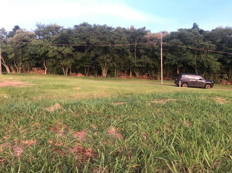 Foto 6 de 8: Terreno em leilão em Sertanópolis - PR — Lote, Sertanópolis / PR