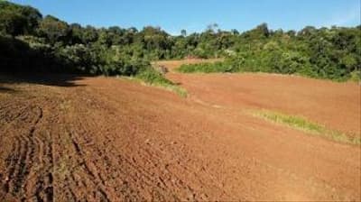 Foto 4 de 6: Area Rural em leilão em Nova Esperança Do Sudoeste - PR — IMÓVEL RURAL COM ÁREA TOTAL DE 60.500,00 m² (6,05 hectares) - NOVA ESPERANÇA DO SUDOESTE/PR