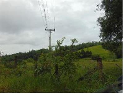 Foto 5 de 6: Terreno em leilão em Taió - SC — TERRENO RURAL com área total de 5.700 m²