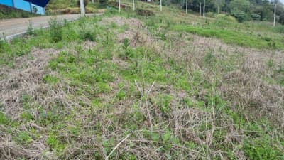 Foto 5 de 5: Terreno em leilão em Saudades - SC, bairro Saudades — LOTE URBANO Nº 08, DA QUADRA Nº 122, LOCALIZADO EM SAUDADES/SC ÁREA DE 360M²
