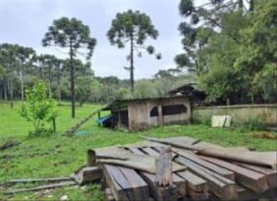 Foto 19 de 24: Area Rural em leilão em Correia Pinto - SC — IMÓVEL RURAL COM ÁREA TOTAL DE 122.223m² - CORREIA PINTO/SC