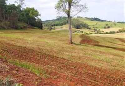 Foto 3 de 5: Area Rural em leilão em Nova Esperança Do Sudoeste - PR — Área Rural - Nova Esp. Sud-PR