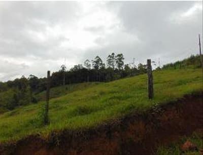 Foto 6 de 6: Terreno em leilão em Taió - SC — TERRENO RURAL com área total de 183,33 m²