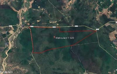 Area Rural em leilão em Corrente - PI — Imóvel Rural sem benfeitorias, situado no lugar Retiro de Cima, no município de Correntes/PI.