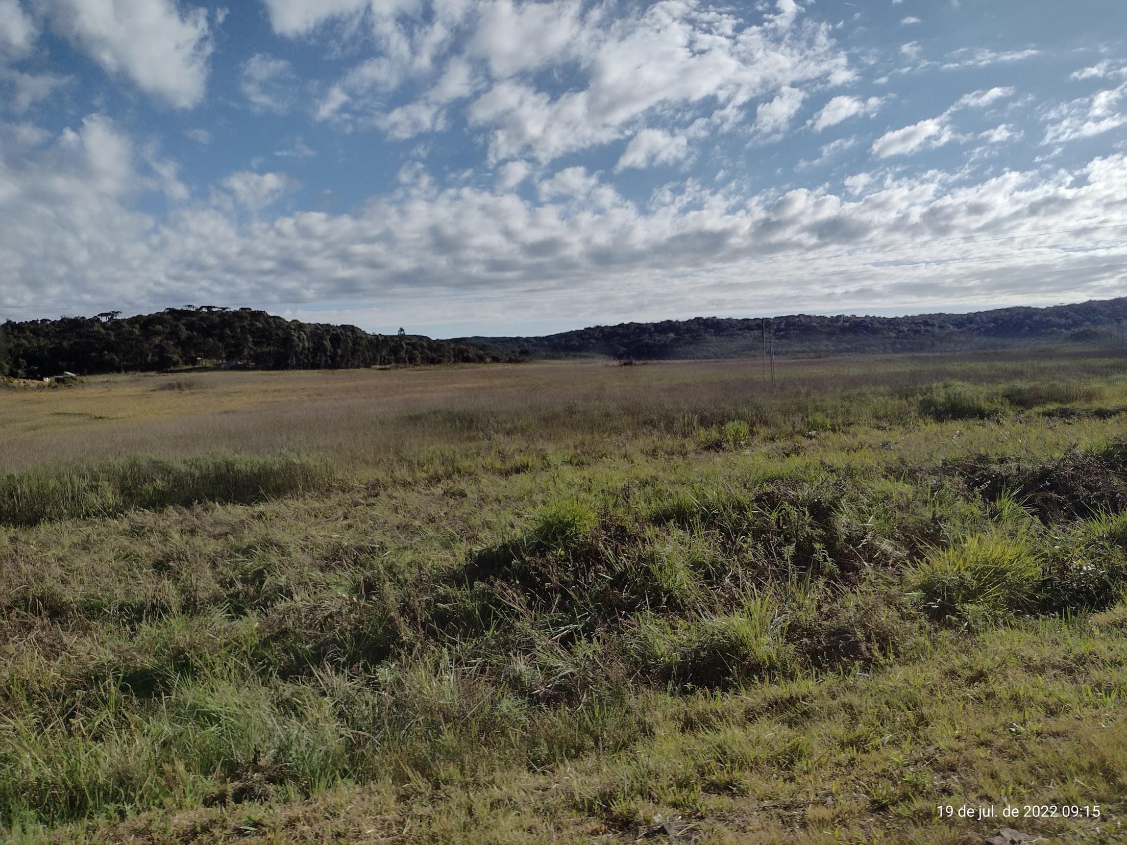 Foto 18 de 50: Terreno em leilão em Irati - PR — Terreno rural com área de 74.282,70m², Irati/PR