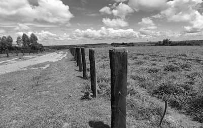 Foto 15 de 21: Terreno em leilão em Pimenta Bueno - RO — Fração ideal de 1,1% lotes de terras rural n. 82 e 92 com área total de 3.676,0340ha, Pimenta Bueno/RO