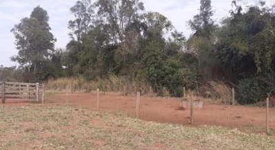 Foto 6 de 7: Area Rural em leilão em Nova Esperança - PR — IMÓVEL RURAL COM ÁREA TOTAL DE 30.548,00 m2 EM NOVA ESPERANÇA-PR
