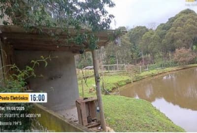 Foto 13 de 14: Terreno em leilão em Aurora - SC — TERRENO RURAL COM ÁREA DE 11,516 HA, EM AURORA-SC