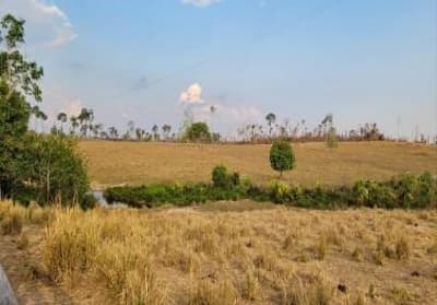 Foto 7 de 7: Area Rural em leilão em Nova Bandeirantes - MT — IMÓVEL RURAL | 202,1749 HA - FAZ. BOM SUCESSO GLEBA B | NOVA BANDEIRANTES/MT
