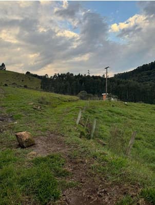 Foto 8 de 16: Area Rural em leilão em Pinhão - PR — Imóvel rural, 242.766,02 m², denominado Torres, Município e Comarca de Pinhão-PR