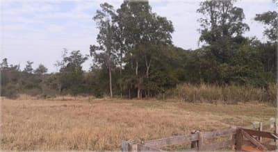 Foto 13 de 18: Terreno em leilão em Nova Esperança - PR — IMÓVEL URBANO - VENDA DE TRÊS MATRÍCULAS EM CONJUNTO- Em NOVA ESPERANÇA/PR