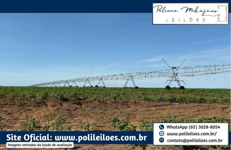 Foto 1 de 7: Area Rural em leilão em Sorriso - MT — Área Rural, Fração Ideal 157,7447ha, AT. 315,489ha, denominado Dal, Bosco Fazenda Rondinha II, Gleba Rio Verde/Lote Primavera, Sorriso/MT