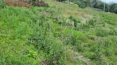 Foto 2 de 4: Terreno em leilão em Saudades - SC, bairro Saudades — LOTE URBANO Nº 06 DA QUADRA Nº 122, LOCALIZADO EM SAUDADES/SC ÁREA DE 480,31M²
