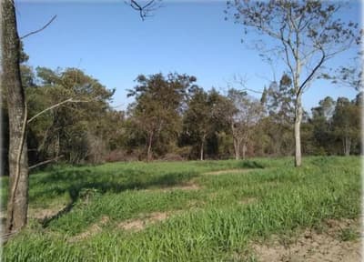 Foto 2 de 18: Terreno em leilão em Nova Esperança - PR — IMÓVEL URBANO - VENDA DE TRÊS MATRÍCULAS EM CONJUNTO- Em NOVA ESPERANÇA/PR