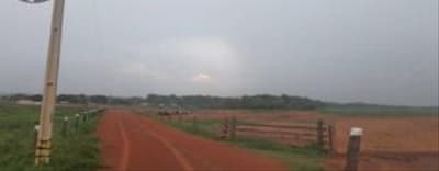 Foto 19 de 28: Area Rural em leilão em Sorriso - MT — IMÓVEL RURAL | 61,6997HA FAZ. SANTA MARIA PARCELA B | EM SORRISO/MT - DESTINAÇÃO PECUÁRIA