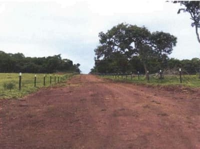 Foto 4 de 9: Area Rural em leilão em Bela Vista De Goiás - GO — IMÓVEIS RURAIS- VENDA CONJUNTA DE DUAS MATRICULAS- Em GOIAS/GO