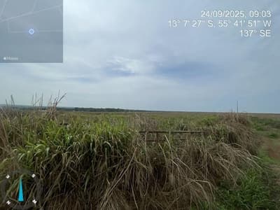 Foto 7 de 28: Area Rural em leilão em Sorriso - MT — IMÓVEL RURAL | 61,6997HA FAZ. SANTA MARIA PARCELA B | EM SORRISO/MT - DESTINAÇÃO PECUÁRIA