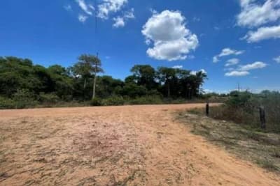 Foto 9 de 16: Area Rural em leilão em Barão De Melgaço - MT — Imóvel rural denominado Fazenda Baia São Benedito (antiga Baia das Pombas- com área de 13.000,00 hectares.