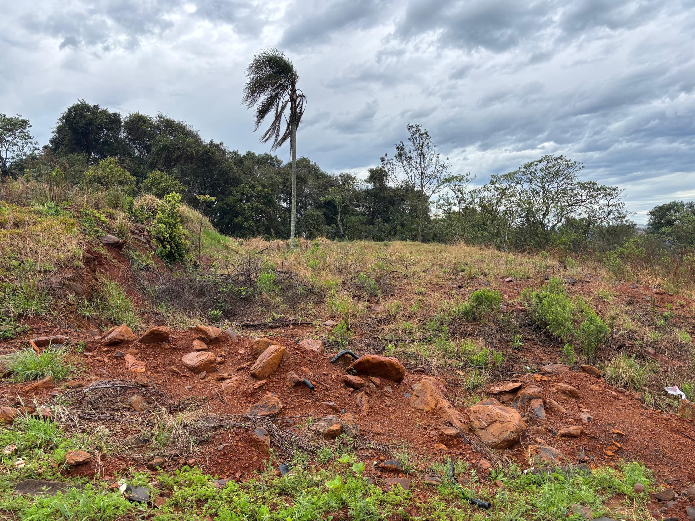 Terreno em leilão em Francisco Beltrão - PR, bairro Antônio de Paiva Cantelmo — TERRENO URBANO COM 476,18 M² LOTEAMENTO DELLA BETTA FRANCISCO BELTRÃO/PR