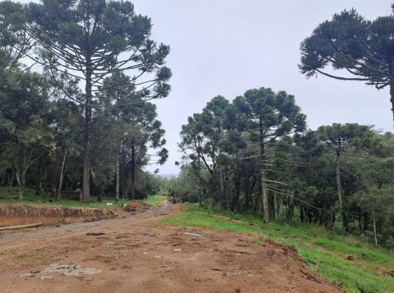 Foto 3 de 25: Area Rural em leilão em Correia Pinto - SC — IMÓVEL RURAL COM ÁREA TOTAL DE 121.000M² - CORREIA PINTO/SC