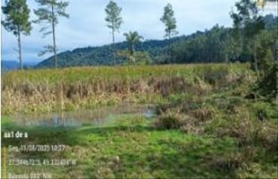 Foto 15 de 15: Terreno em leilão em Vidal Ramos - SC, bairro Área Rural — IMÓVEL RURARL COM ÁREA TOTAL DE 13.000 ha,- Em VIDAL RAMOS/SC