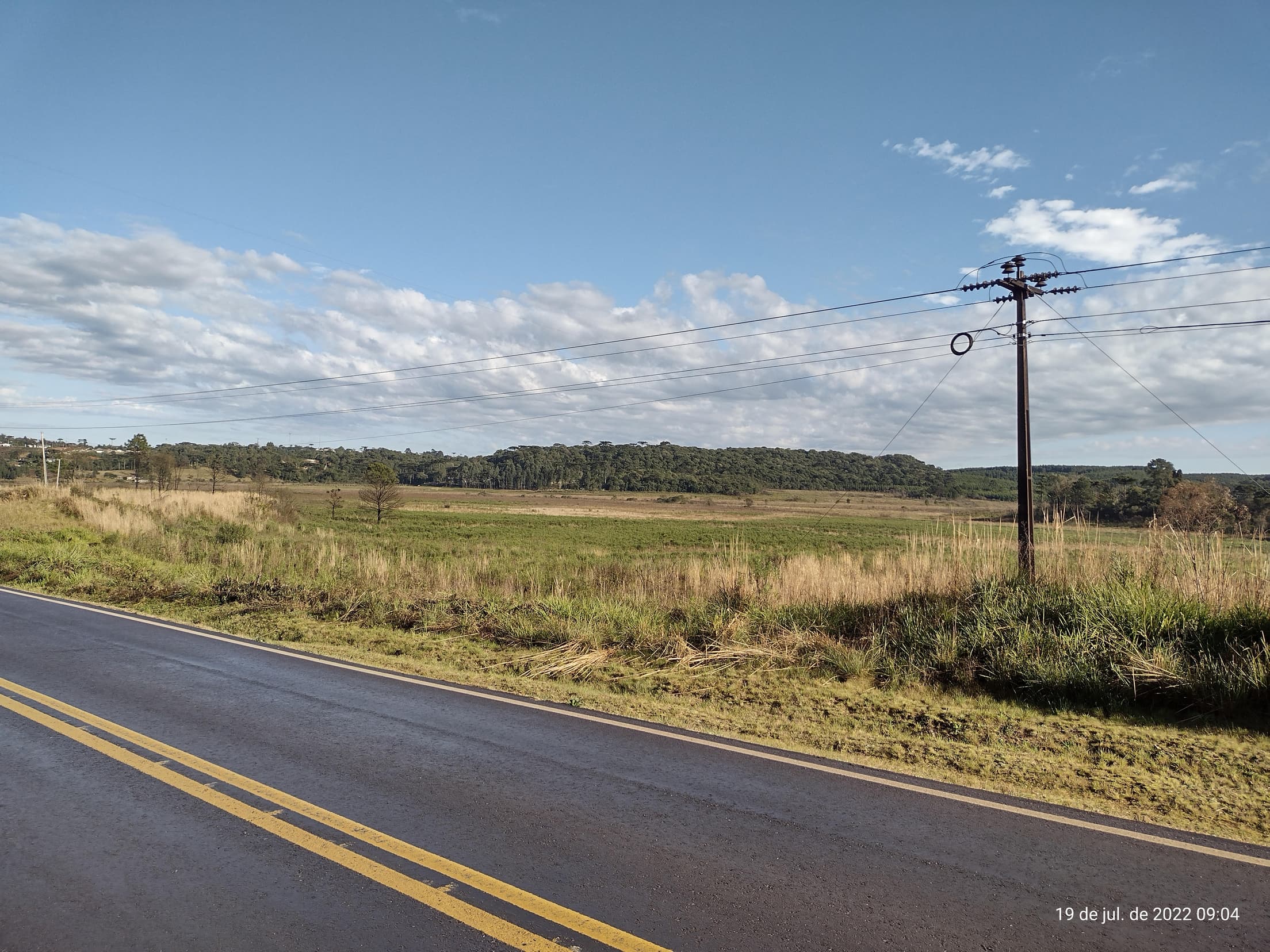 Foto 45 de 50: Terreno em leilão em Irati - PR — Terreno rural com área de 74.282,70m², Irati/PR