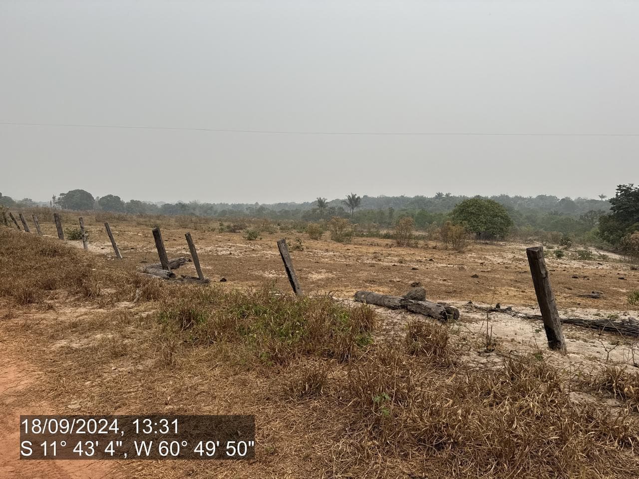 Foto 6 de 20: Area Rural em leilão em Pimenta Bueno - RO — IMÓVEL RURAL | A. T. 63,4635 HA | PIMENTA BUENO/RO - LEILÃO EMPRESARIAL SISTÊMICO SICREDI