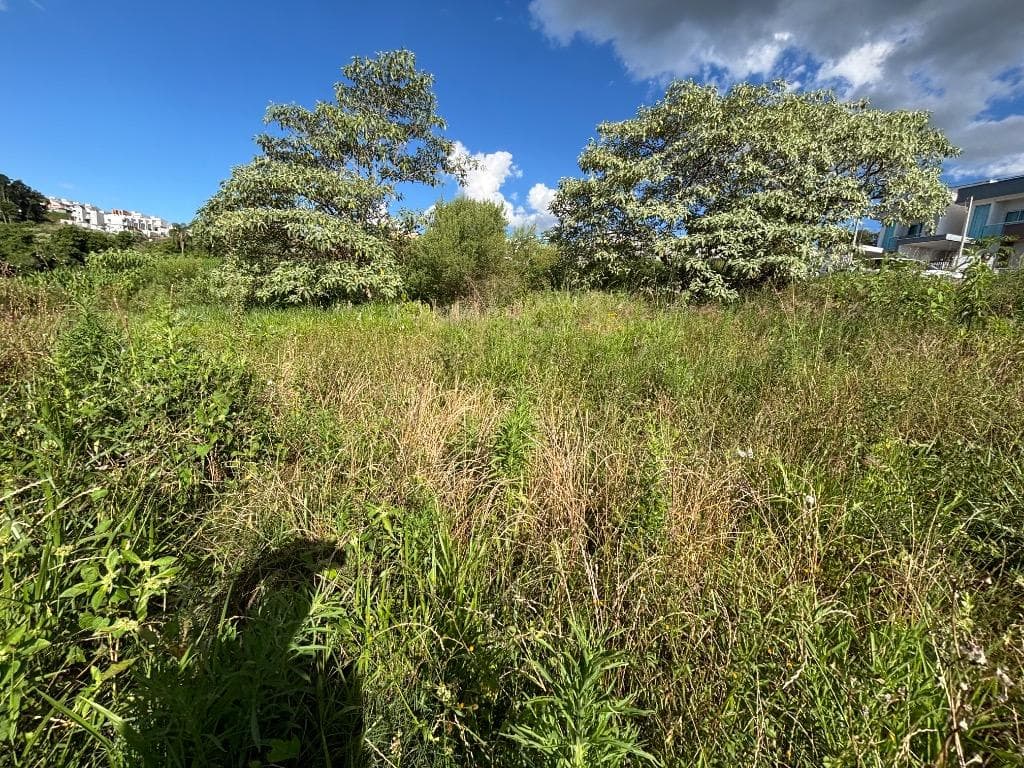 Foto 7 de 8: Terreno em leilão em Pato Branco - PR — TERRENO URBANO COM ÁREA TOTAL DE 296,40 M2 - PATO BRANCO/PR