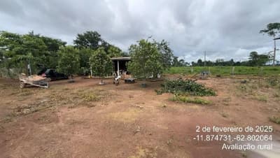 Foto 8 de 11: Area Rural em leilão em São Miguel Do Guaporé - RO — IMÓVEL RURAL - SÍTIO DOIS IRMÃOS DE 12,0919HA - SÃO MIGUEL DO GUAPORÉ/RO